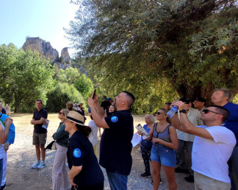 Visita con grupo en el Cañón del Río Lobos (Soria)
